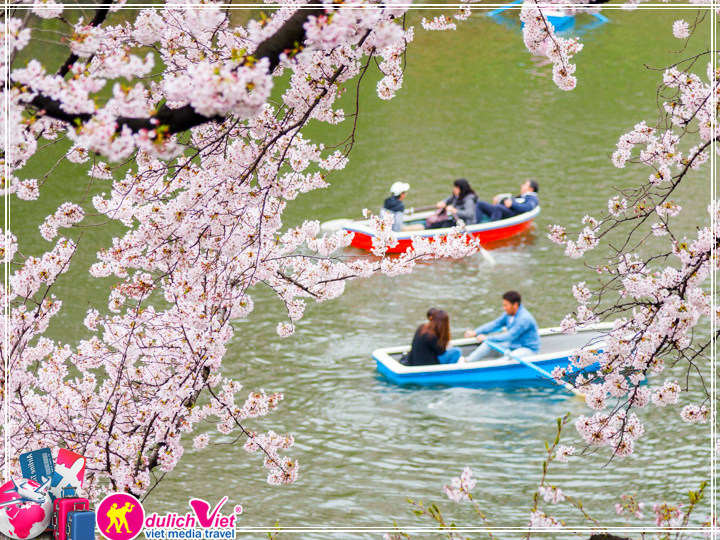 Du lịch Nhật Bản mùa hoa Anh Đào 2017 giá tốt từ Sài Gòn